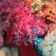 ���������� � ������