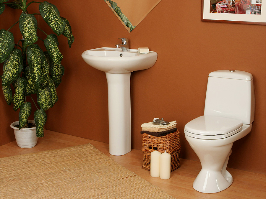 ���������, ������������� ����.