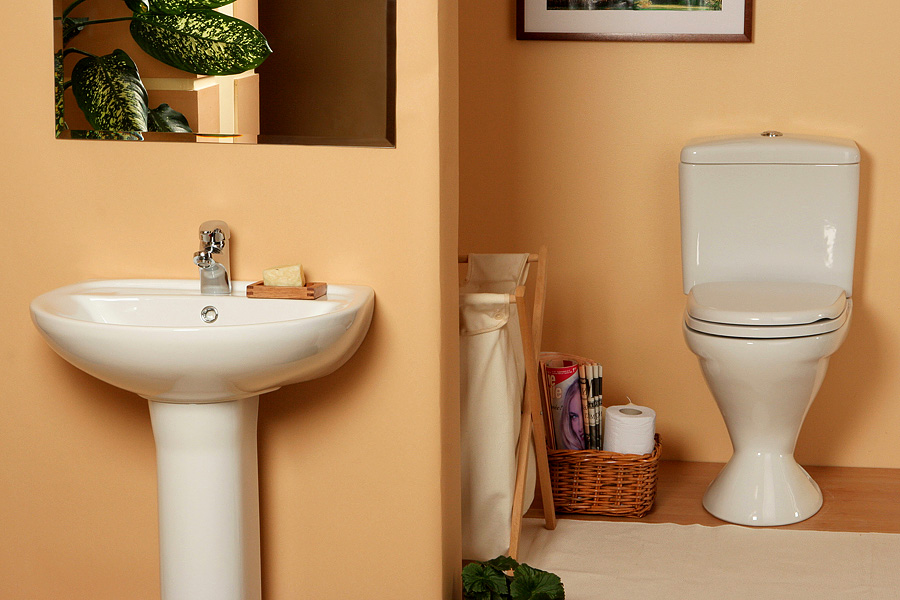 ���������, ������������� ����.