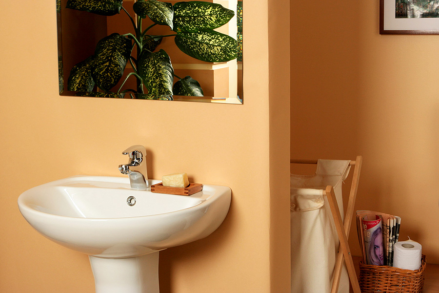 ���������, ������������� ����.