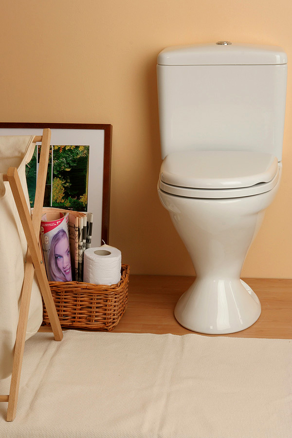 ���������, ������������� ����.