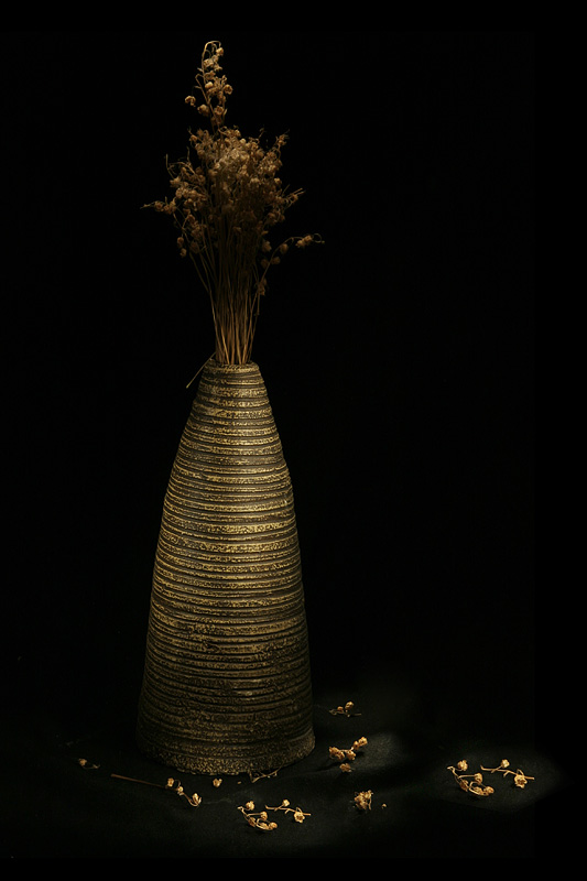 ���������, ������������� ����.