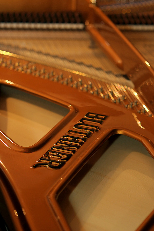 ���������, ������������� ����.