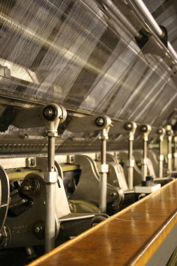 ���������, ������������� ����.